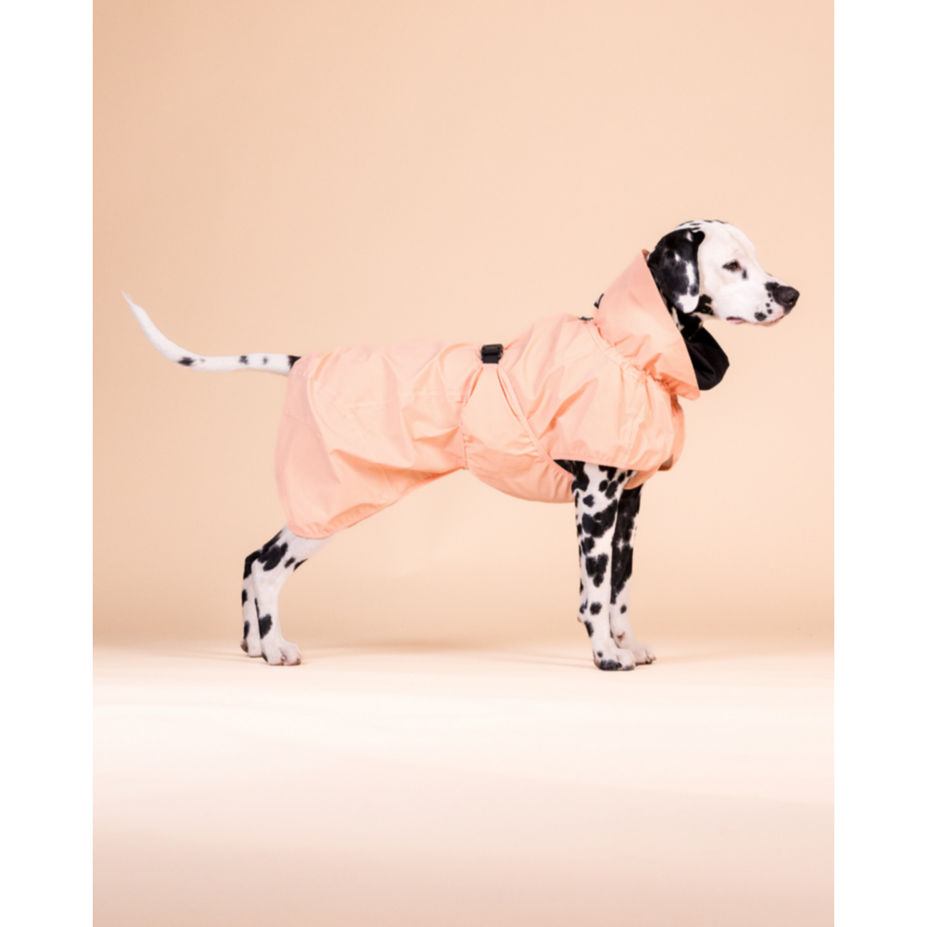 PAIKKA Reflective Raincoat Peach – Reflektierender Hunderegenmantel Bild 1