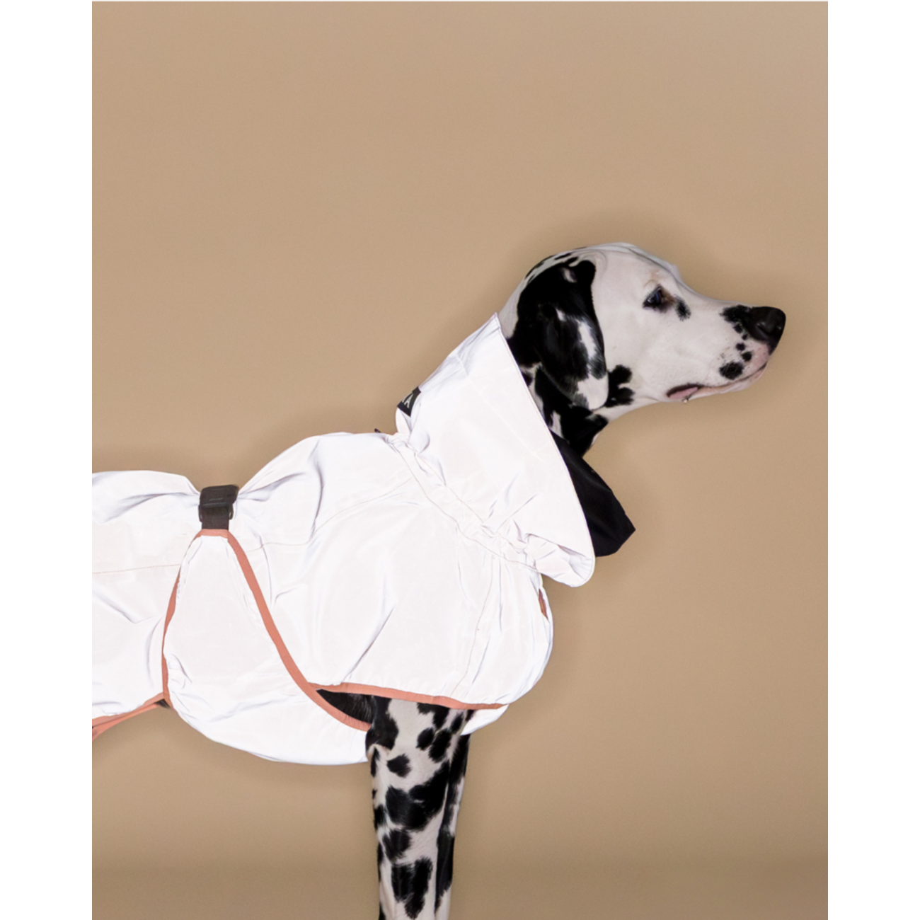 PAIKKA Reflective Raincoat Peach – Reflektierender Hunderegenmantel Bild 6
