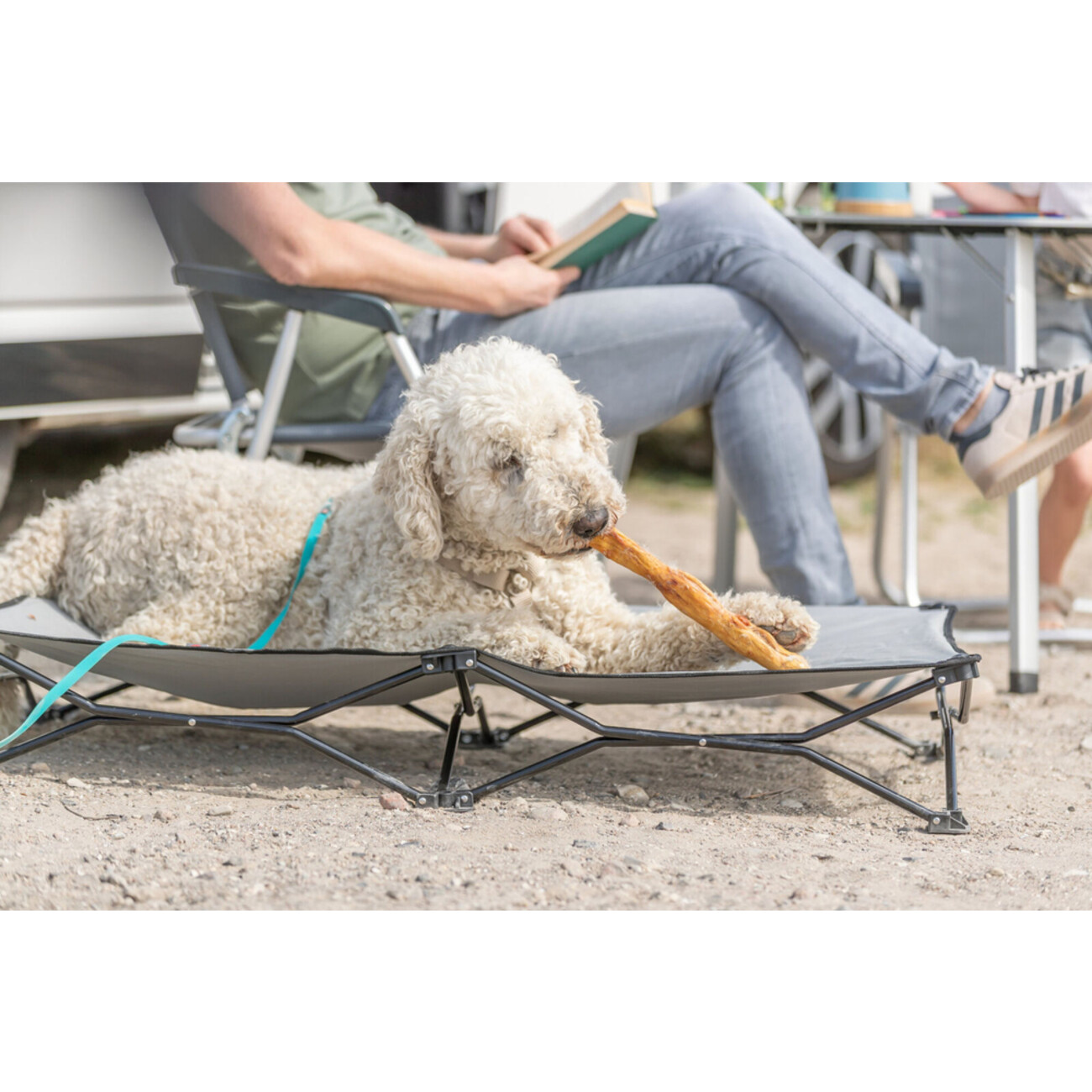 Kaninchenhautrolle mit Fell, 45–50 cm Bild 2