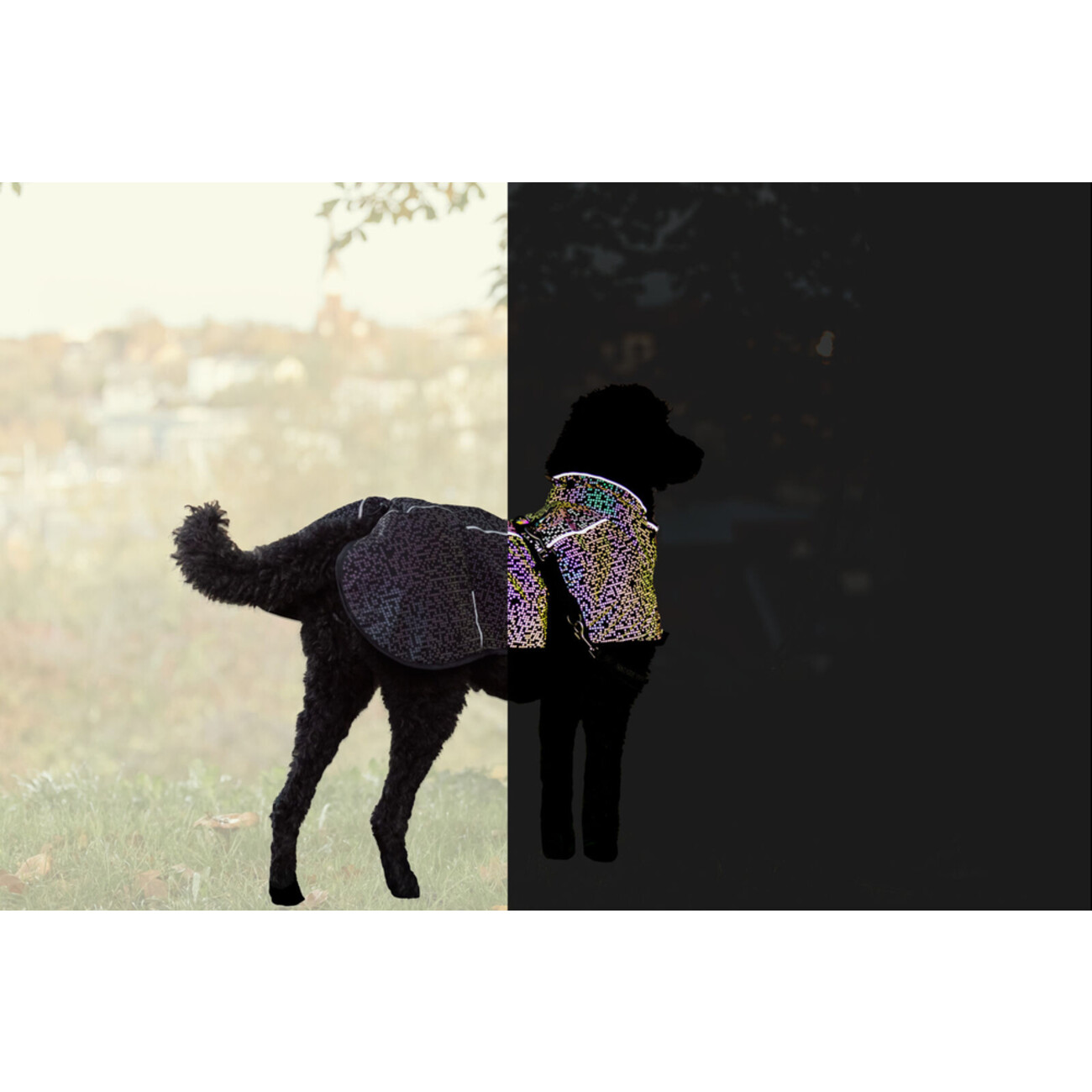 Hundemantel Limoux Reflect, aus vollflächig reflektierendes Material Bild 2