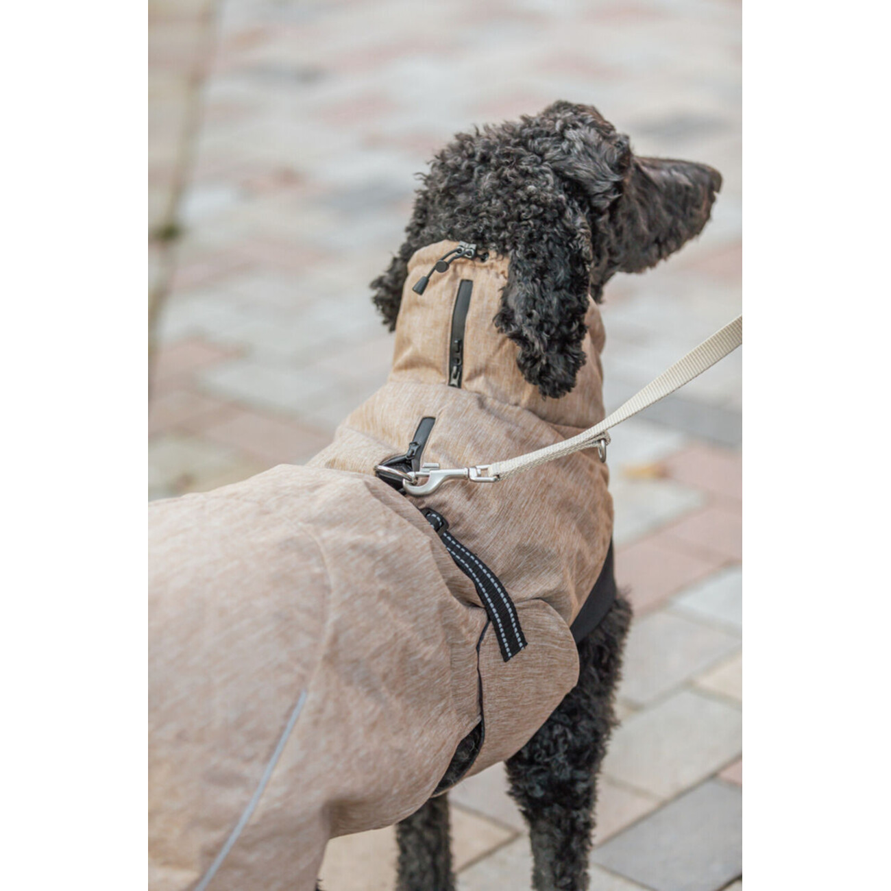 Wintermantel Riom für Hunde Bild 6