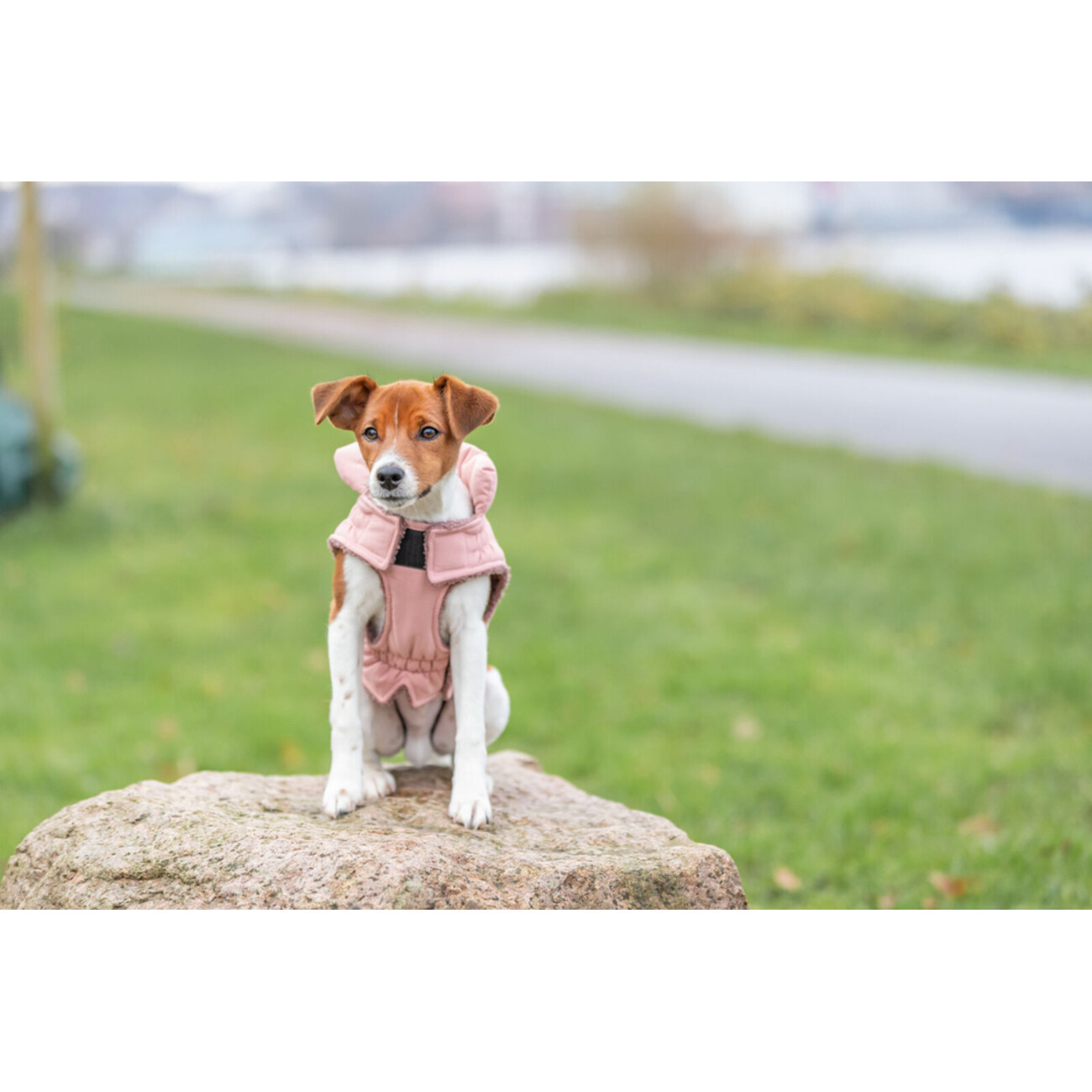 Wintermantel Lesmont Bild 12