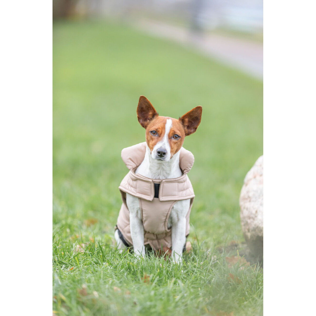 Wintermantel Lesmont Bild 3