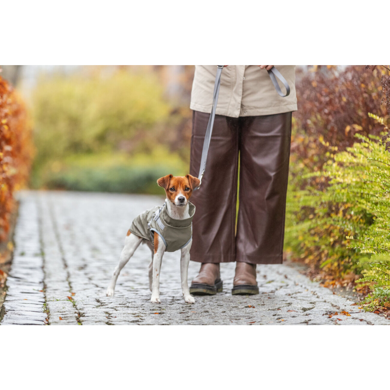 Geschirrmantel Regenmantel für Hunde Pontis Rain Bild 7