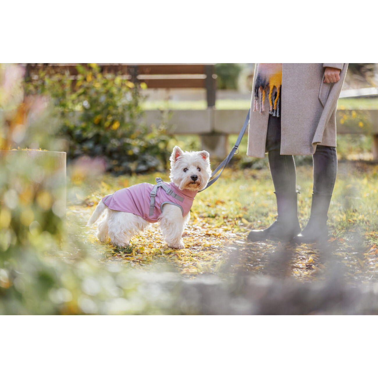 Geschirrmantel Regenmantel für Hunde Pontis Rain Bild 2