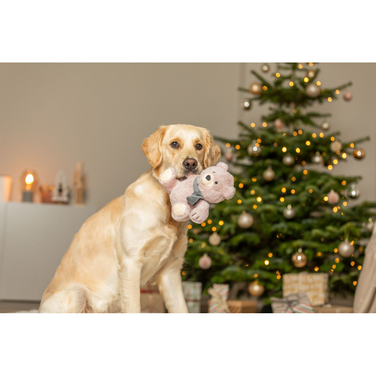 Xmas Weihnachten Teddy aus Softplüsch Hundespielzeug Bild 2