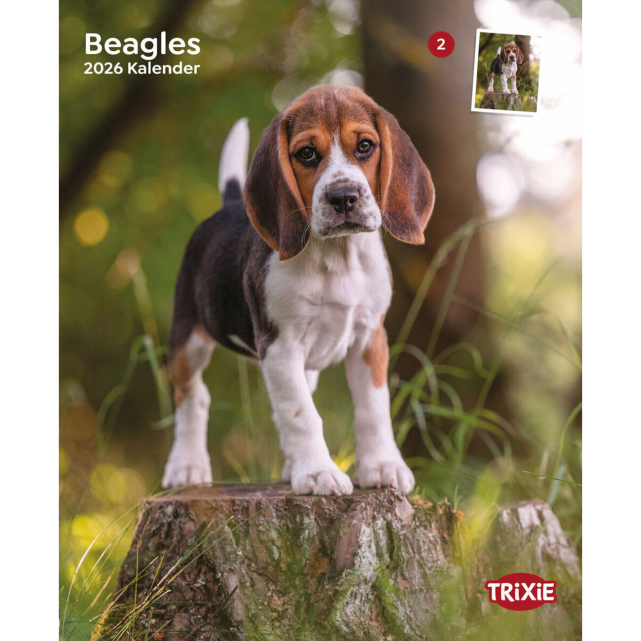 2026 Hundekalender Beagle Bild 1