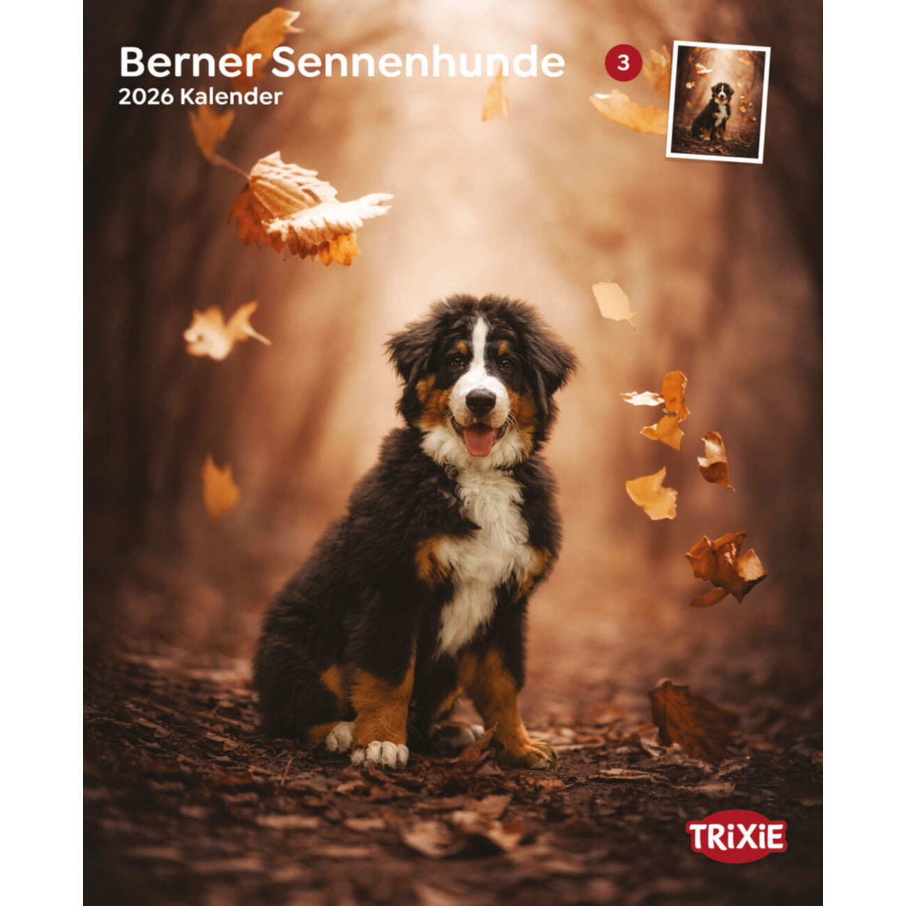 2026 Kalender Berner Sennenhund Bild 1