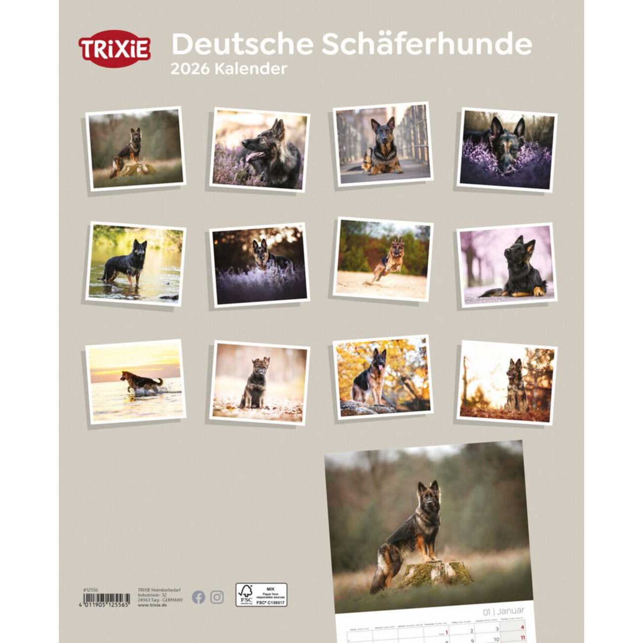 2026 Kalender Deutsche Schäferhunde Bild 2