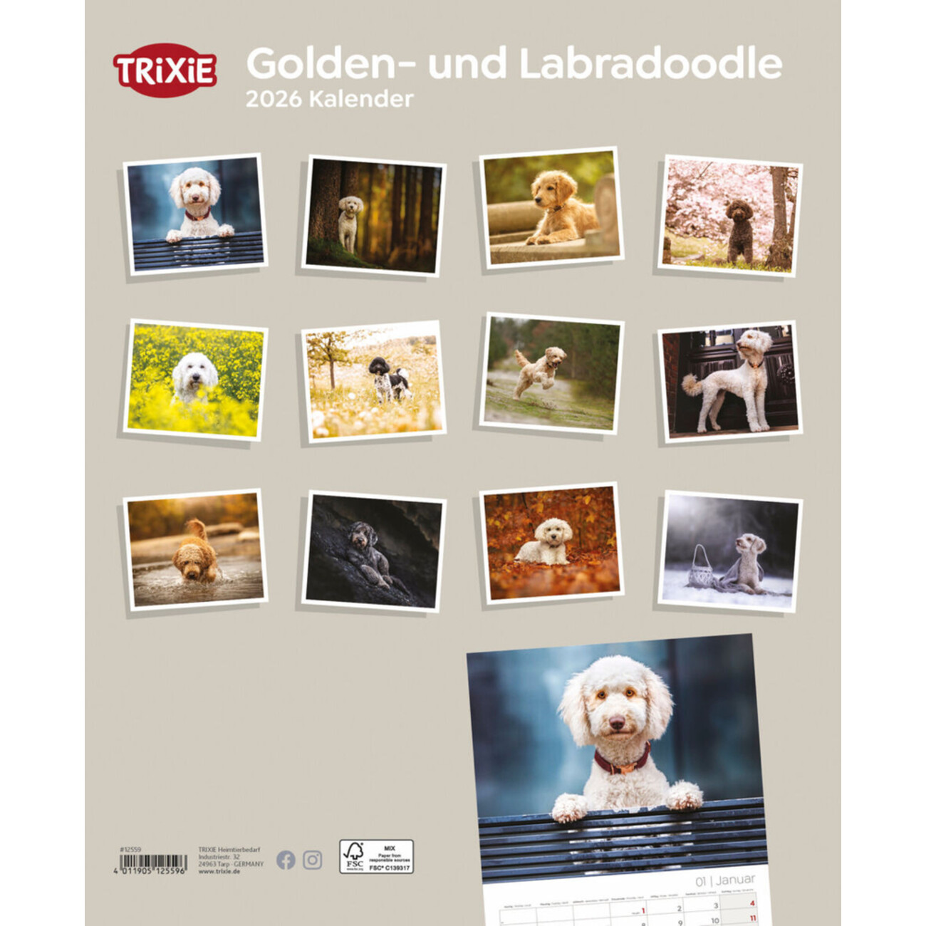 2026 Kalender Golden- und Labradoodle Bild 2