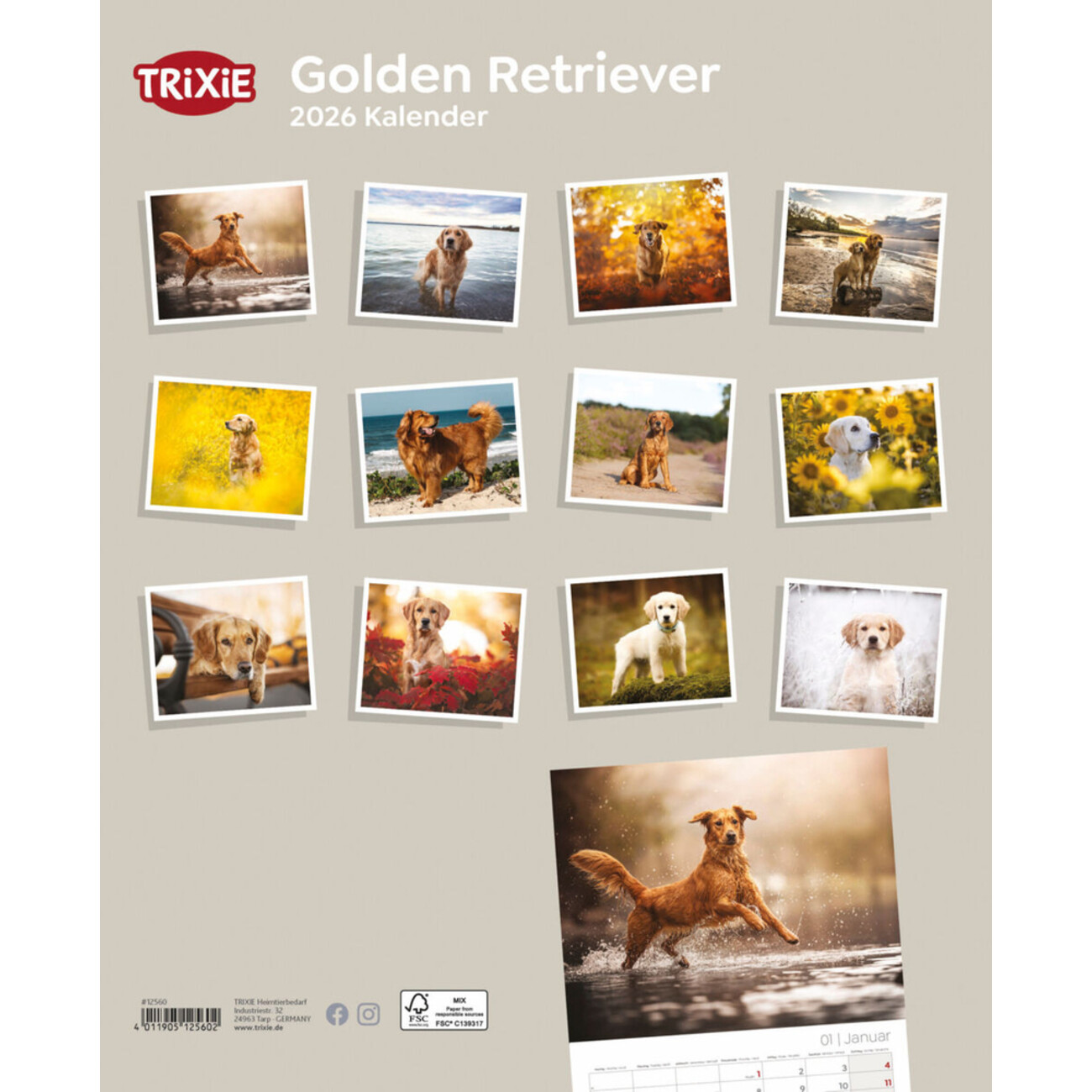 2026 Kalender Golden Retriever Bild 2