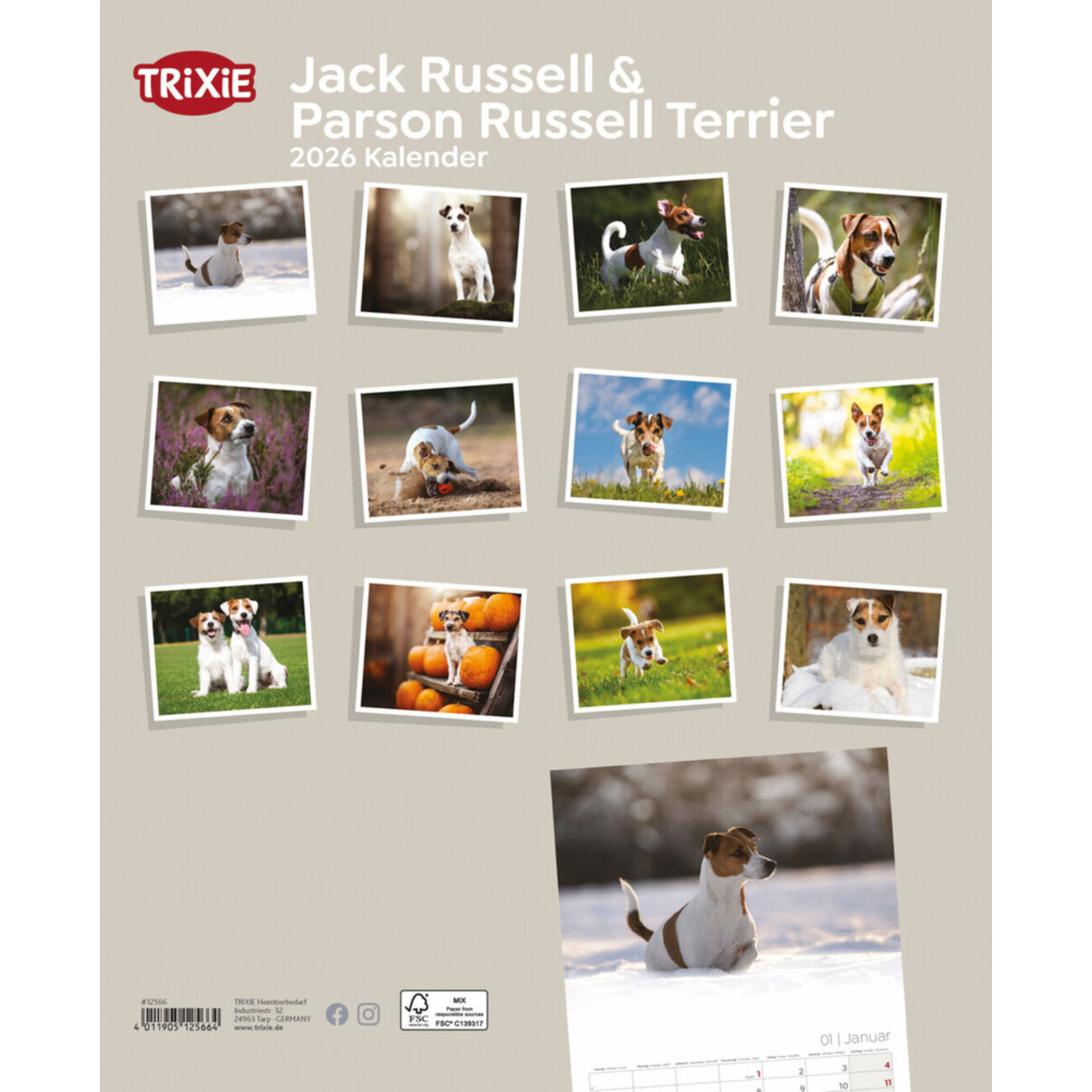 2026 Kalender Jack Russell & Parson Russell Terrier Bild 2