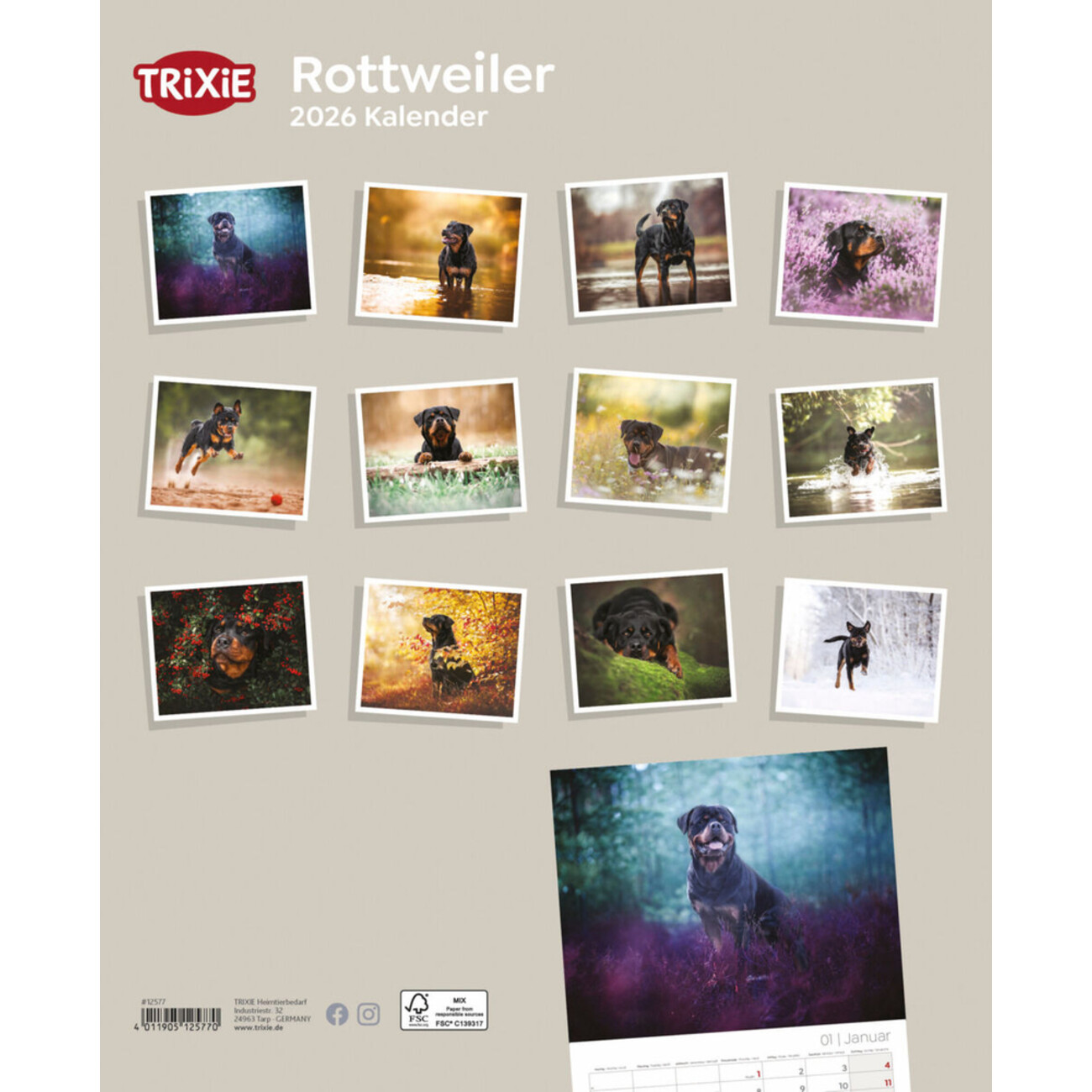 2026 Kalender Rottweiler Bild 2