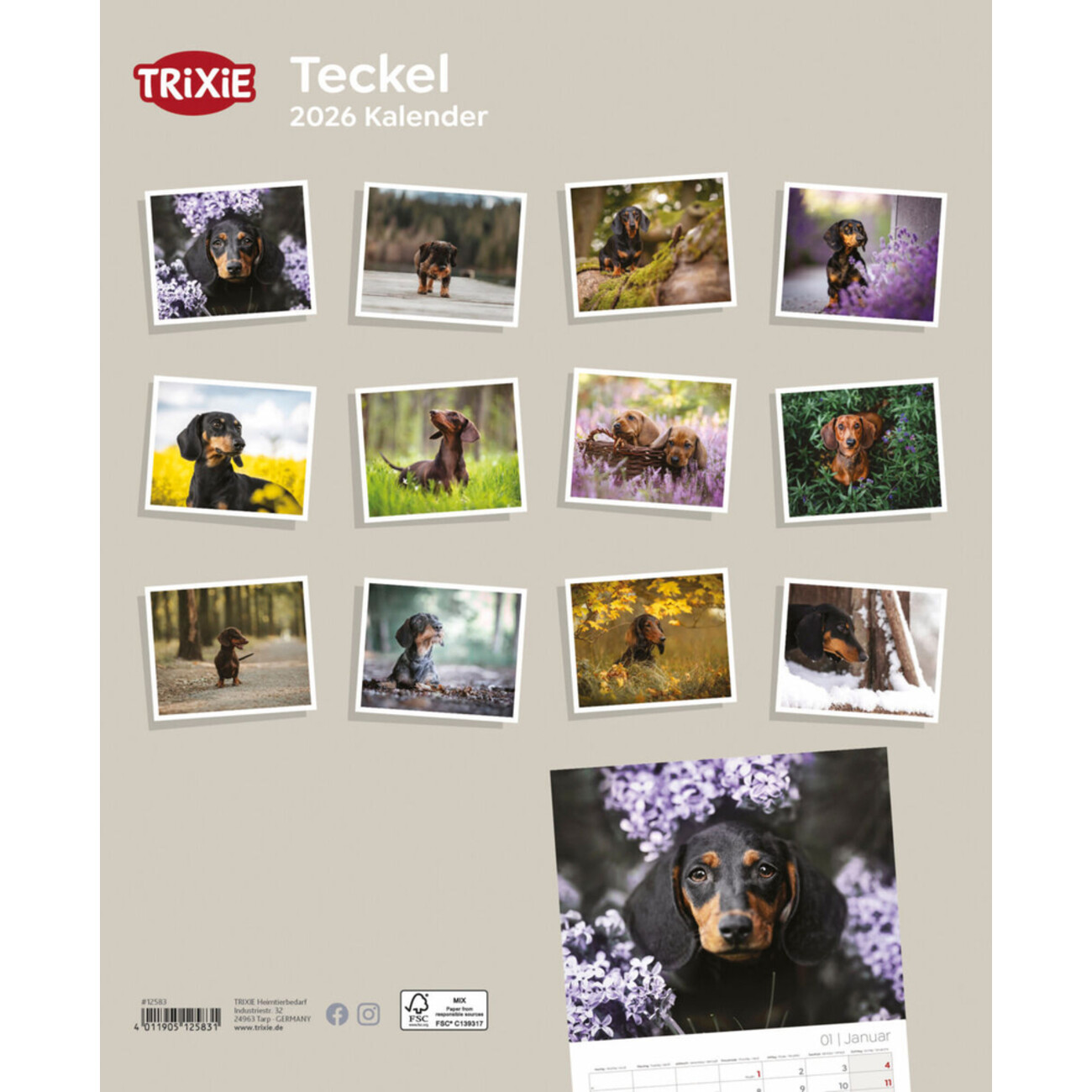 2026 Kalender Teckel Dackel Bild 2