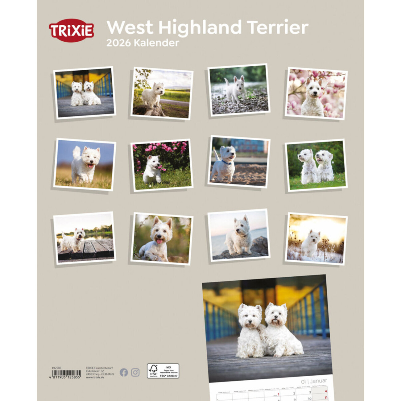 2026 Kalender West Highland Terrier Bild 2