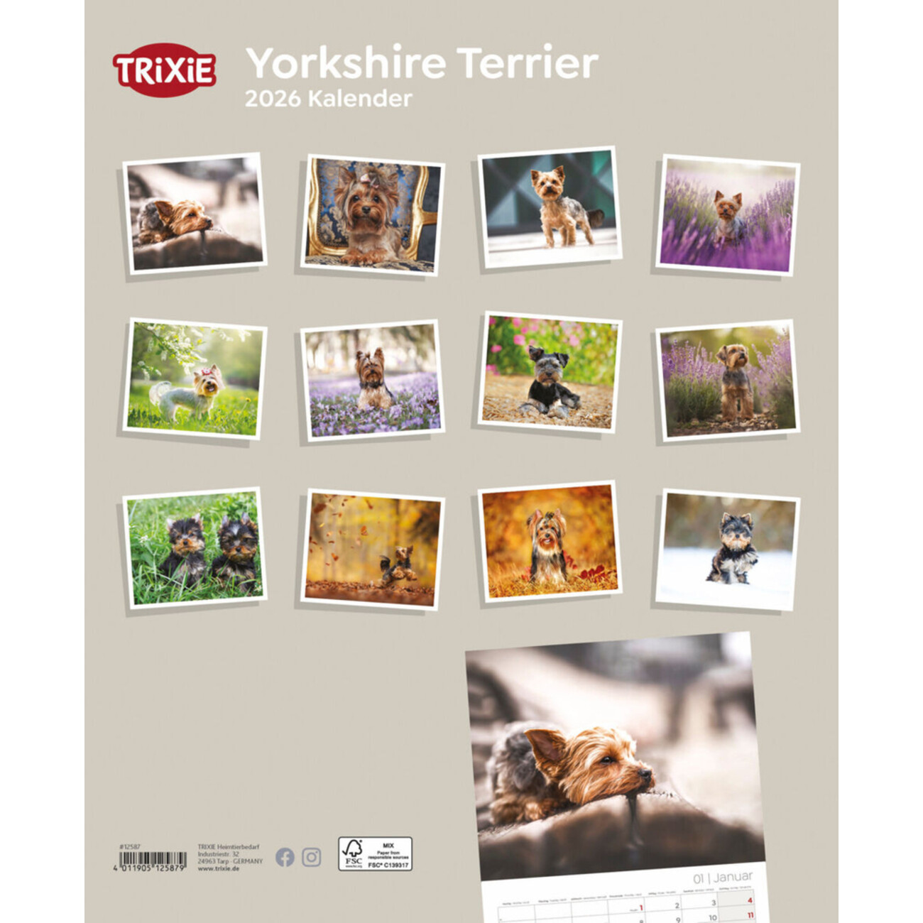 2026 Kalender Yorkshire Terrier Bild 2