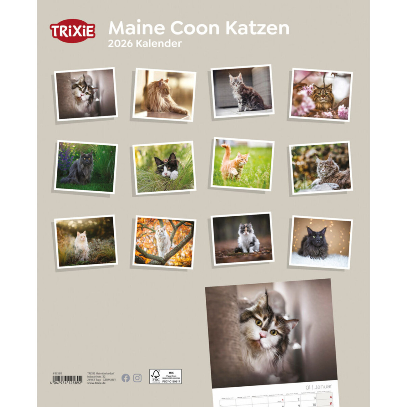 2026 Kalender Maine Coon Katzen Bild 2
