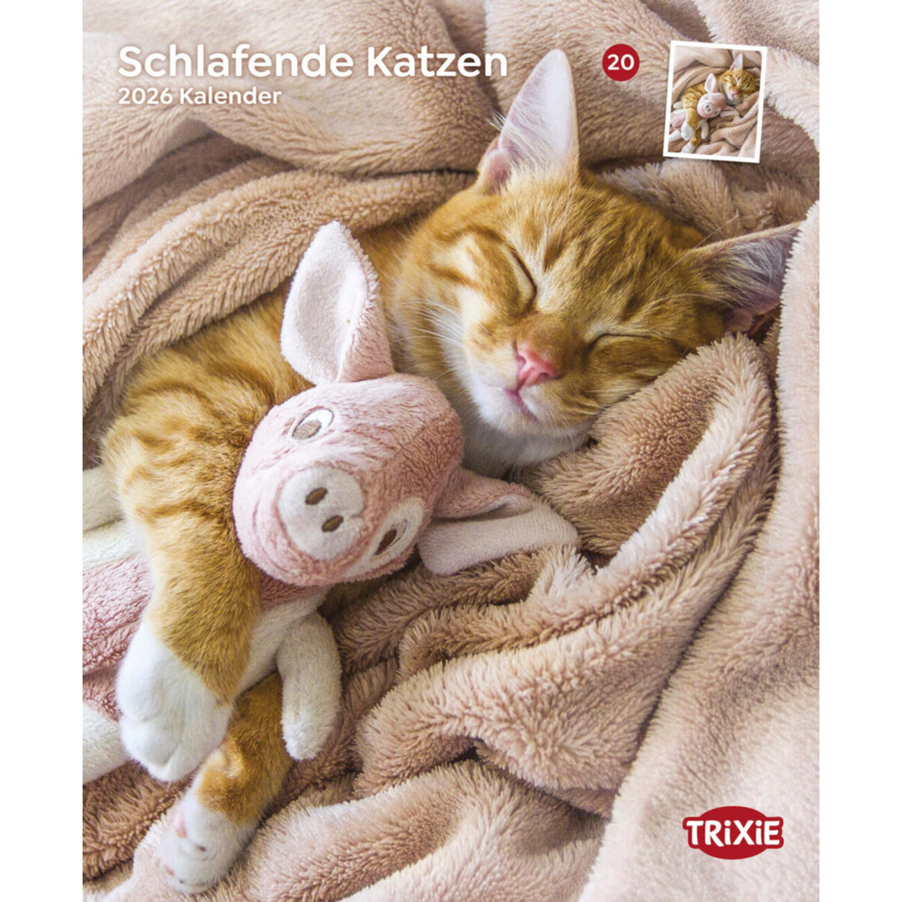 2026 Kalender schlafende Katzen Bild 1