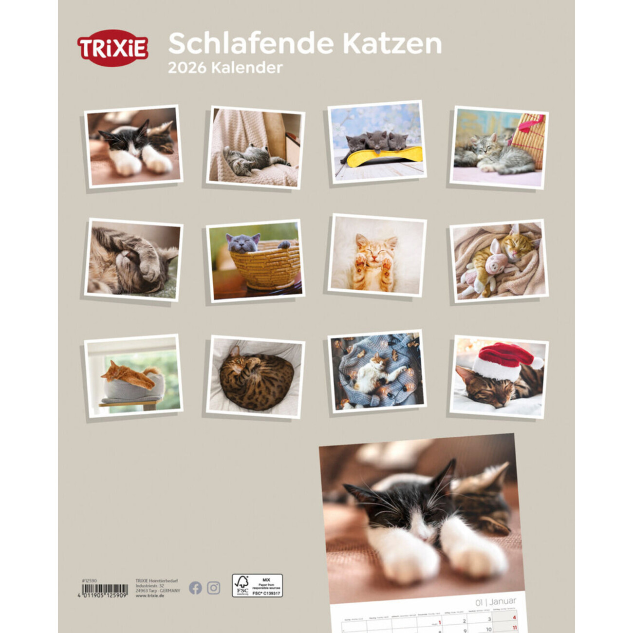 2026 Kalender schlafende Katzen Bild 2