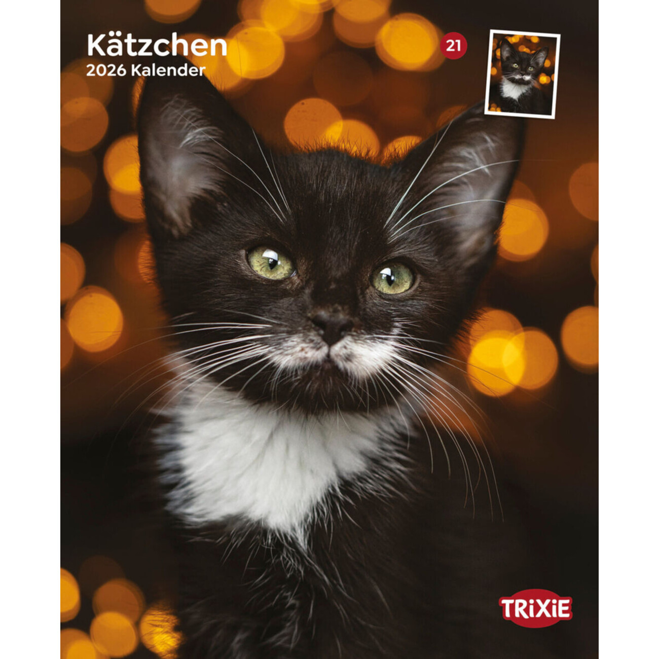 2026 Kalender Kätzchen Bild 1