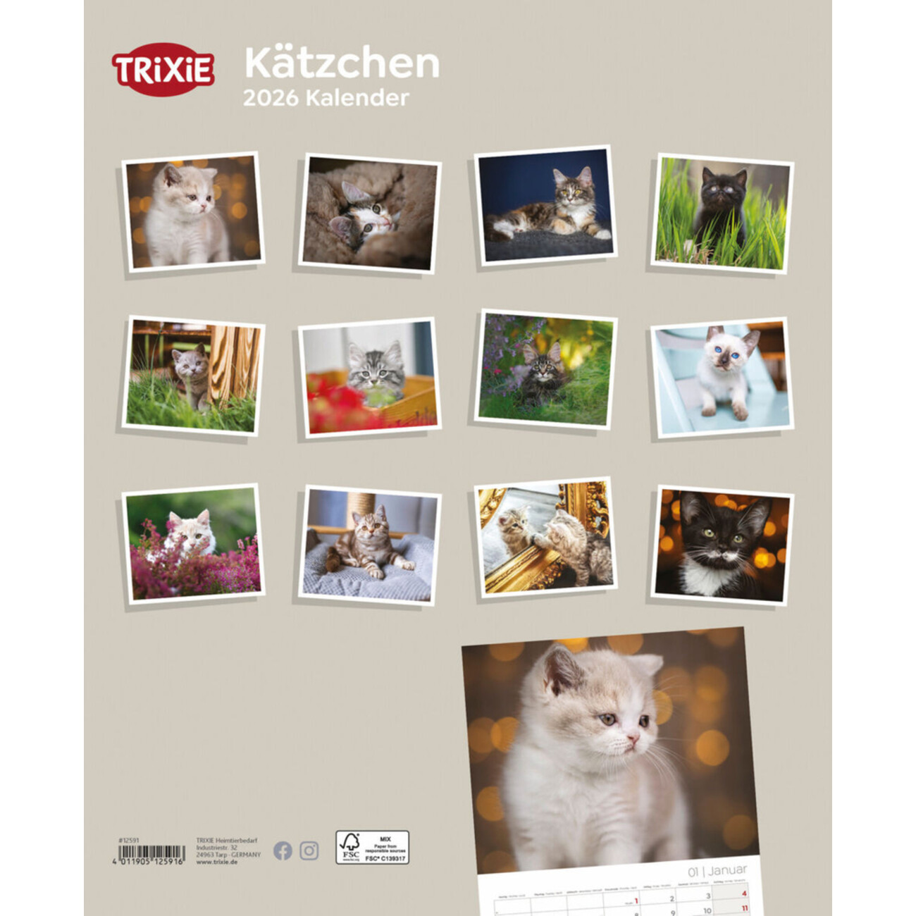 2026 Kalender Kätzchen Bild 2