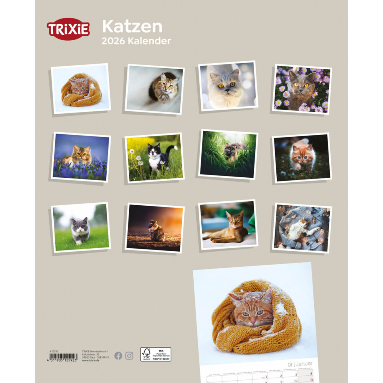 2026 Kalender Katzen Bild 2