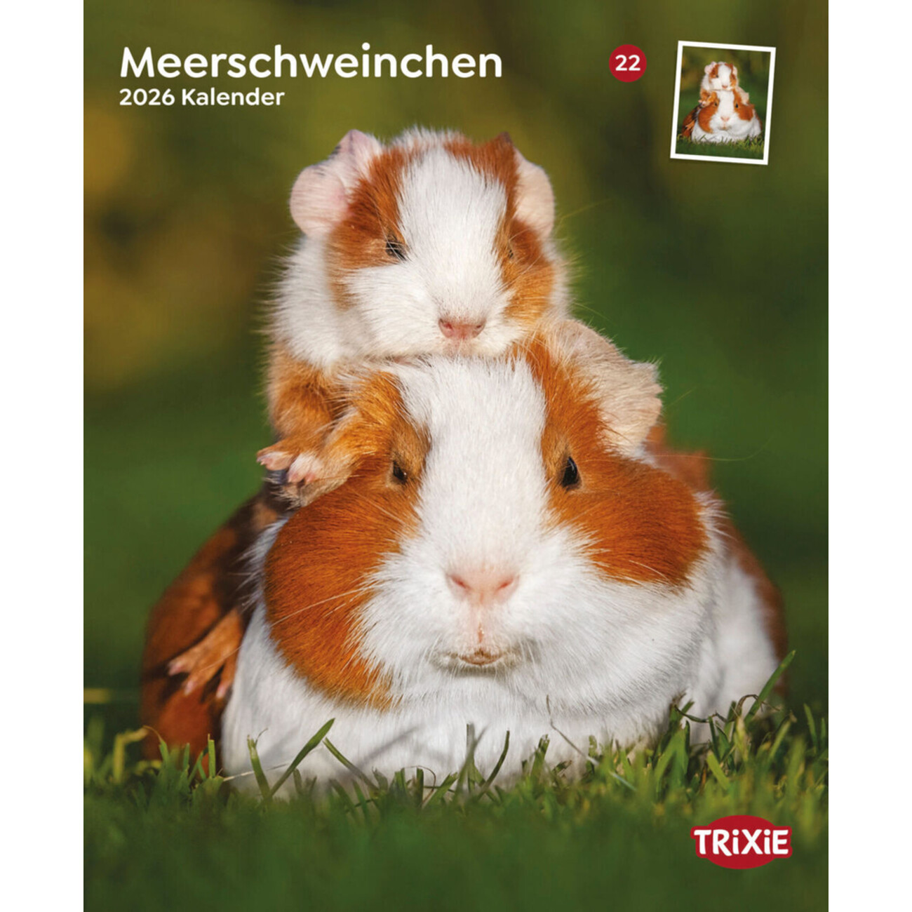 2026 Kalender Meerschweinchen Bild 1