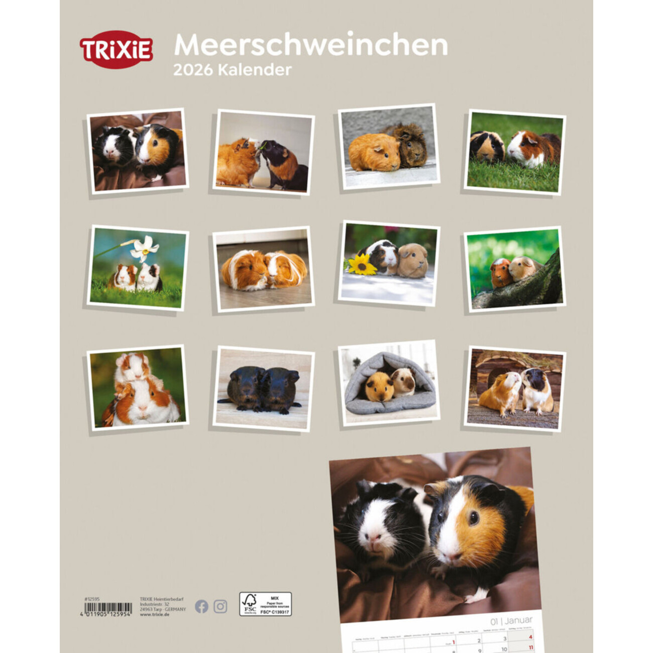 2026 Kalender Meerschweinchen Bild 2