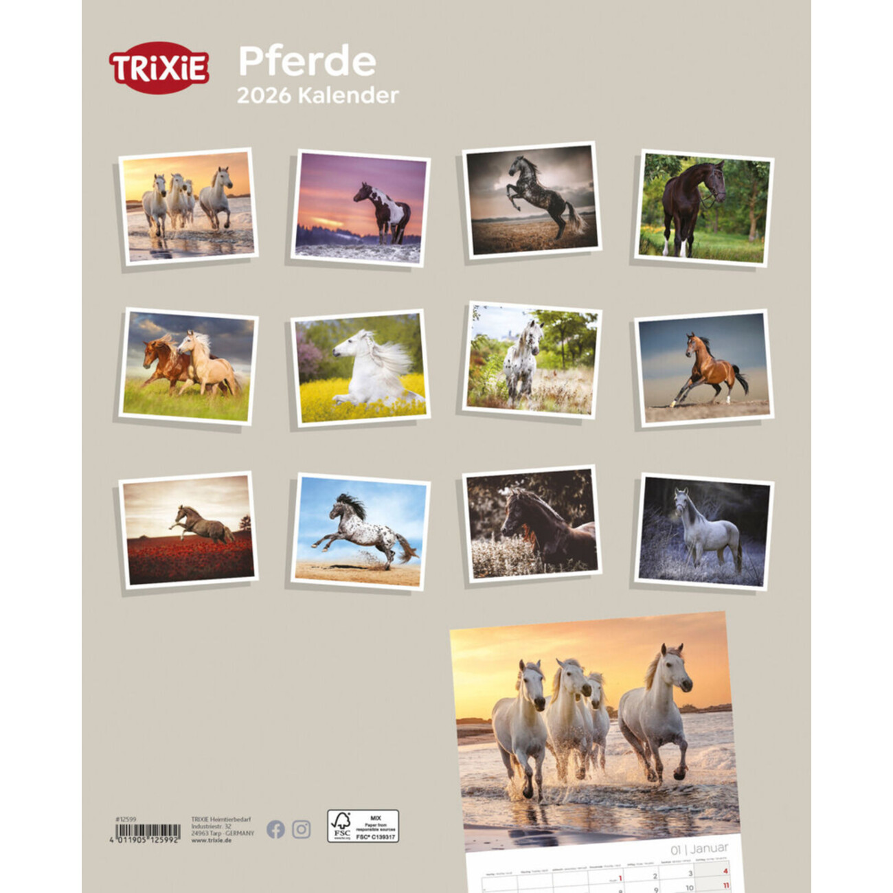 2026 Kalender Pferde Bild 2
