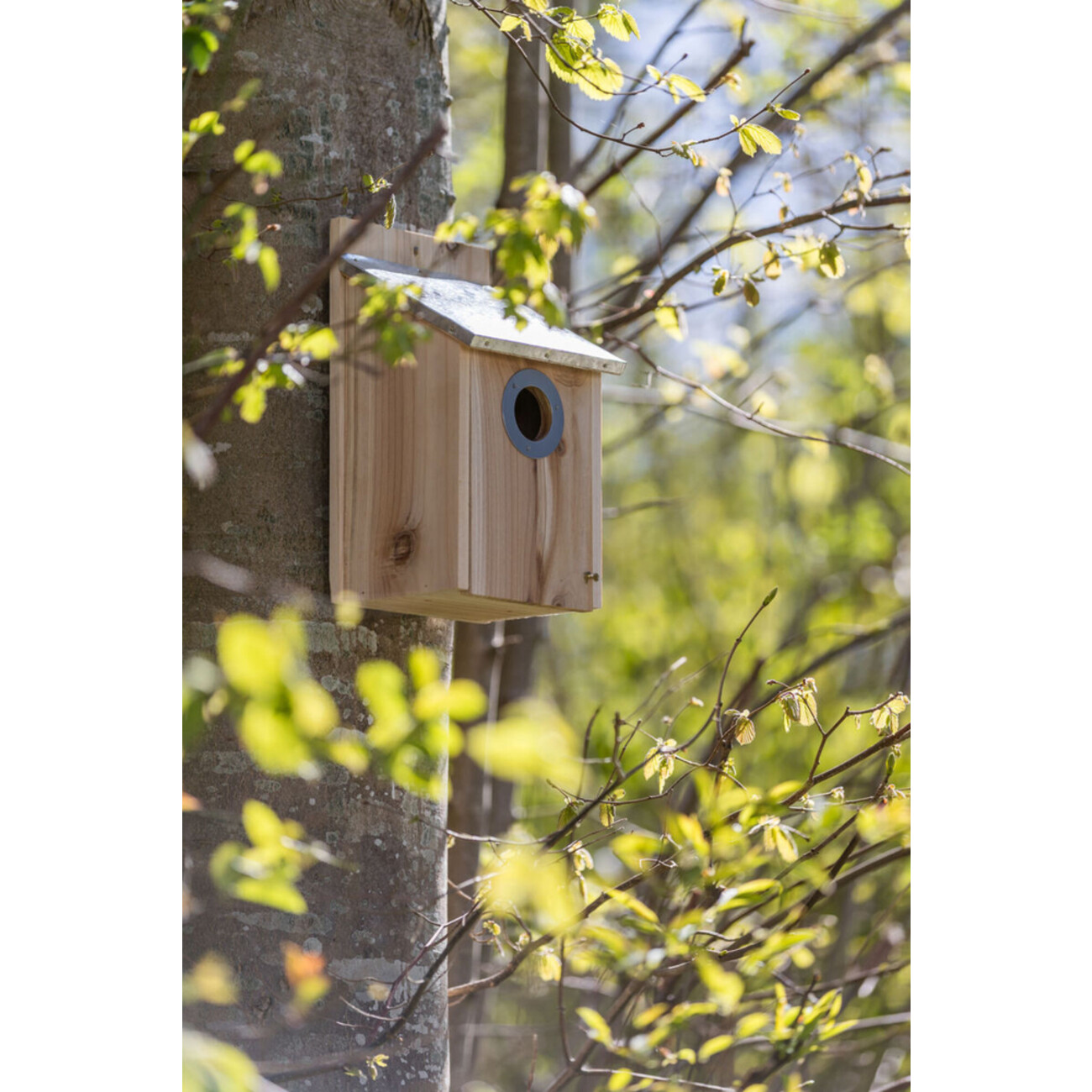 Nistkasten für Stare Bild 2