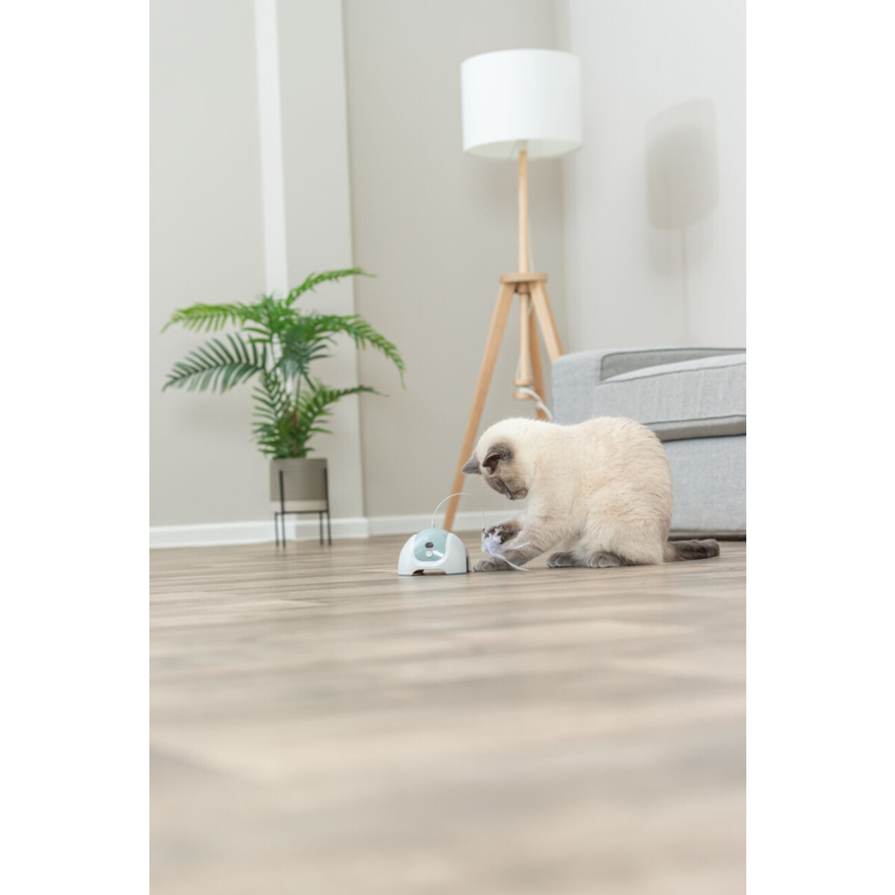 Katzenspielzeug Catch Me mit Motor und Fernbedienung Bild 6