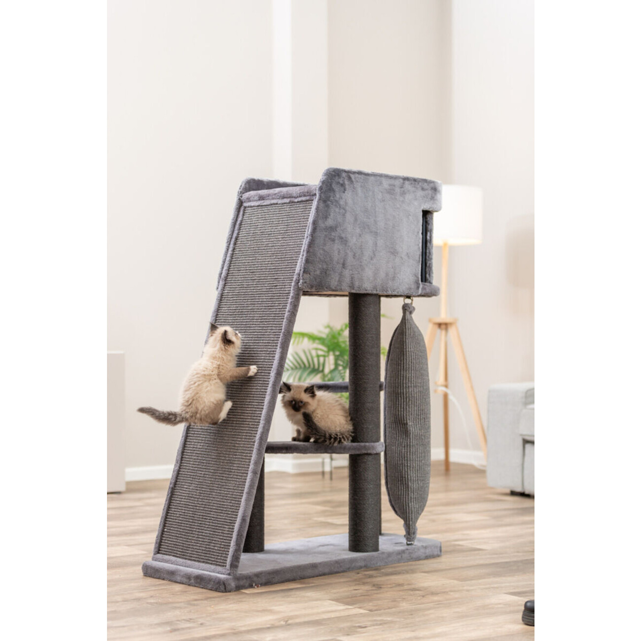 Kratzbaum Active mit Kletterrampe Bild 9