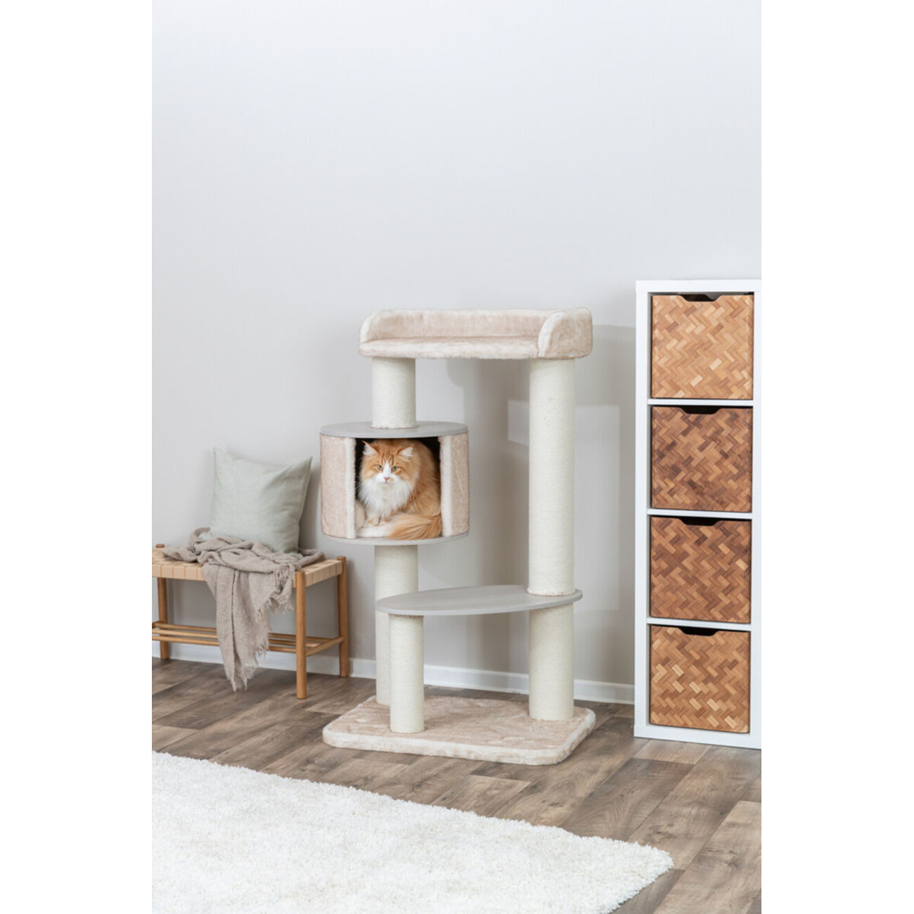 Kratzbaum XXL Kiara für große Katzen Bild 2