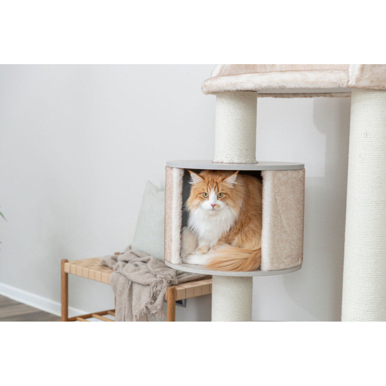 Kratzbaum XXL Kiara für große Katzen Bild 3