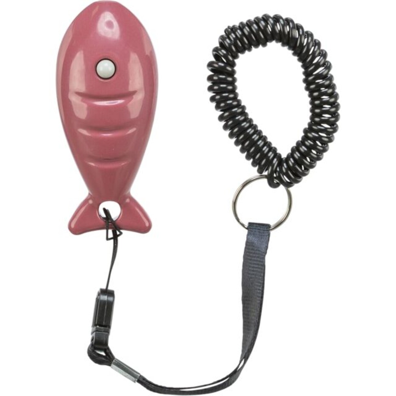 Laserpointer Catch the Light Bild 1