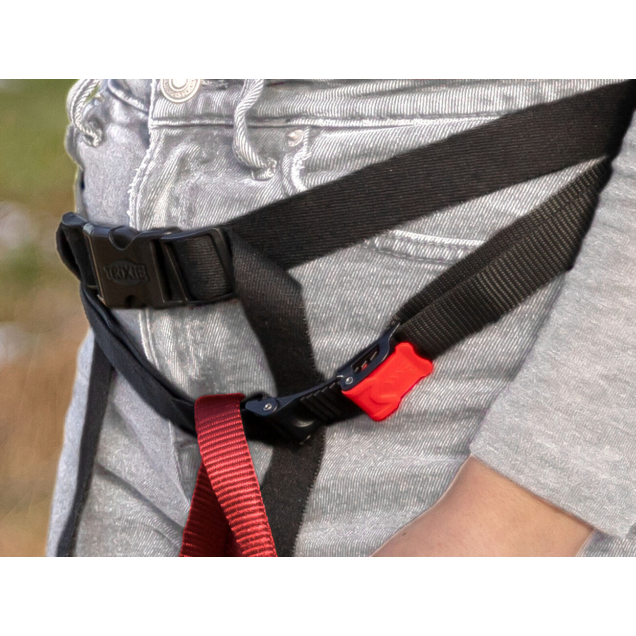 Rolltop als Hüfttasche und Hunde-Rucksack tragbar Bild 7