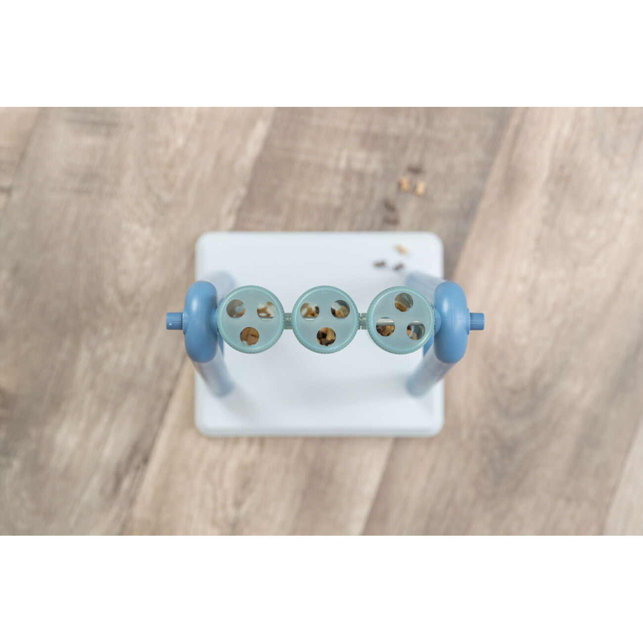 Dog Activity Strategiespiel Turn Around für Hunde Bild 3