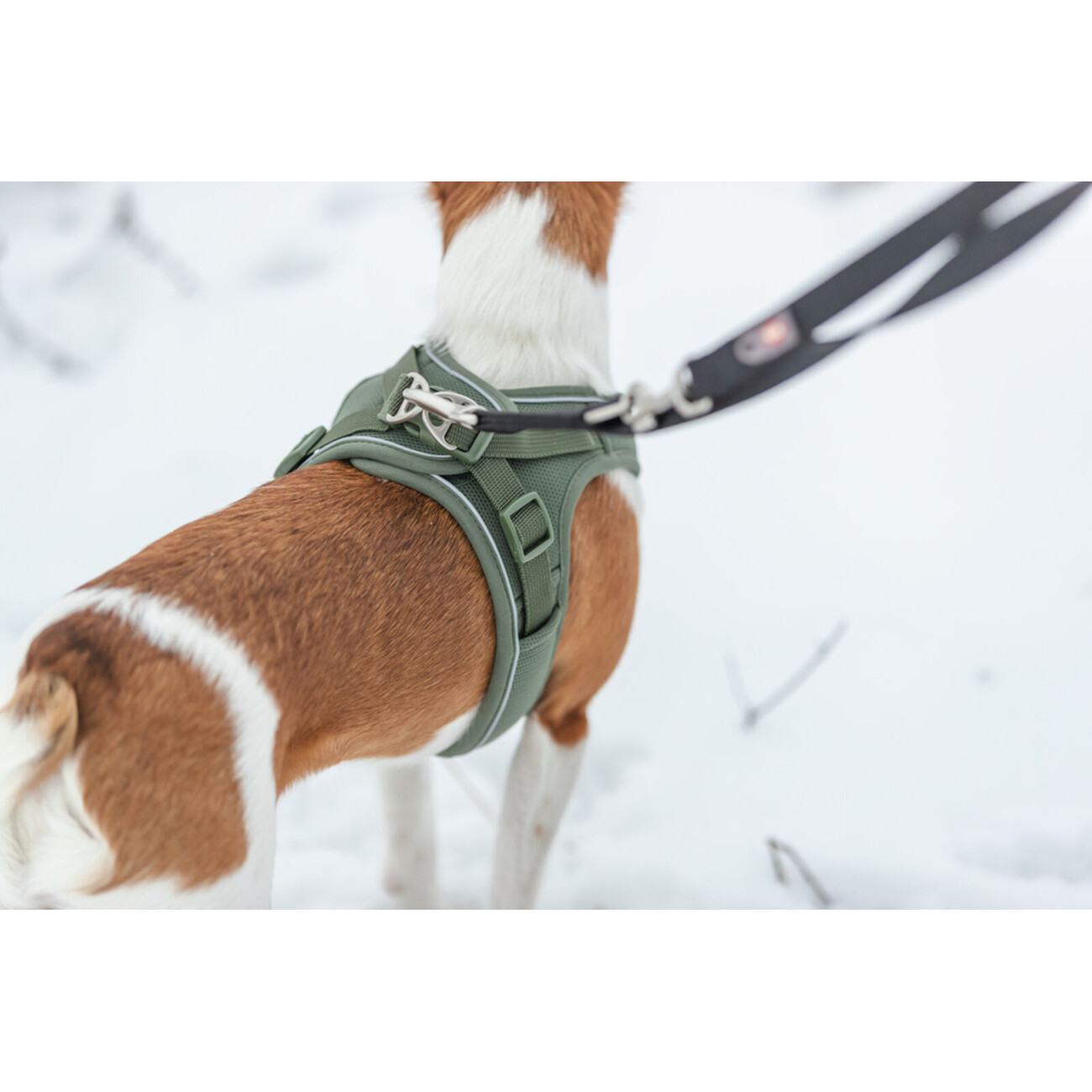 TRIXIE Premium UrbanVest Geschirr: Komfort & Sicherheit für Deinen Hund Bild 4