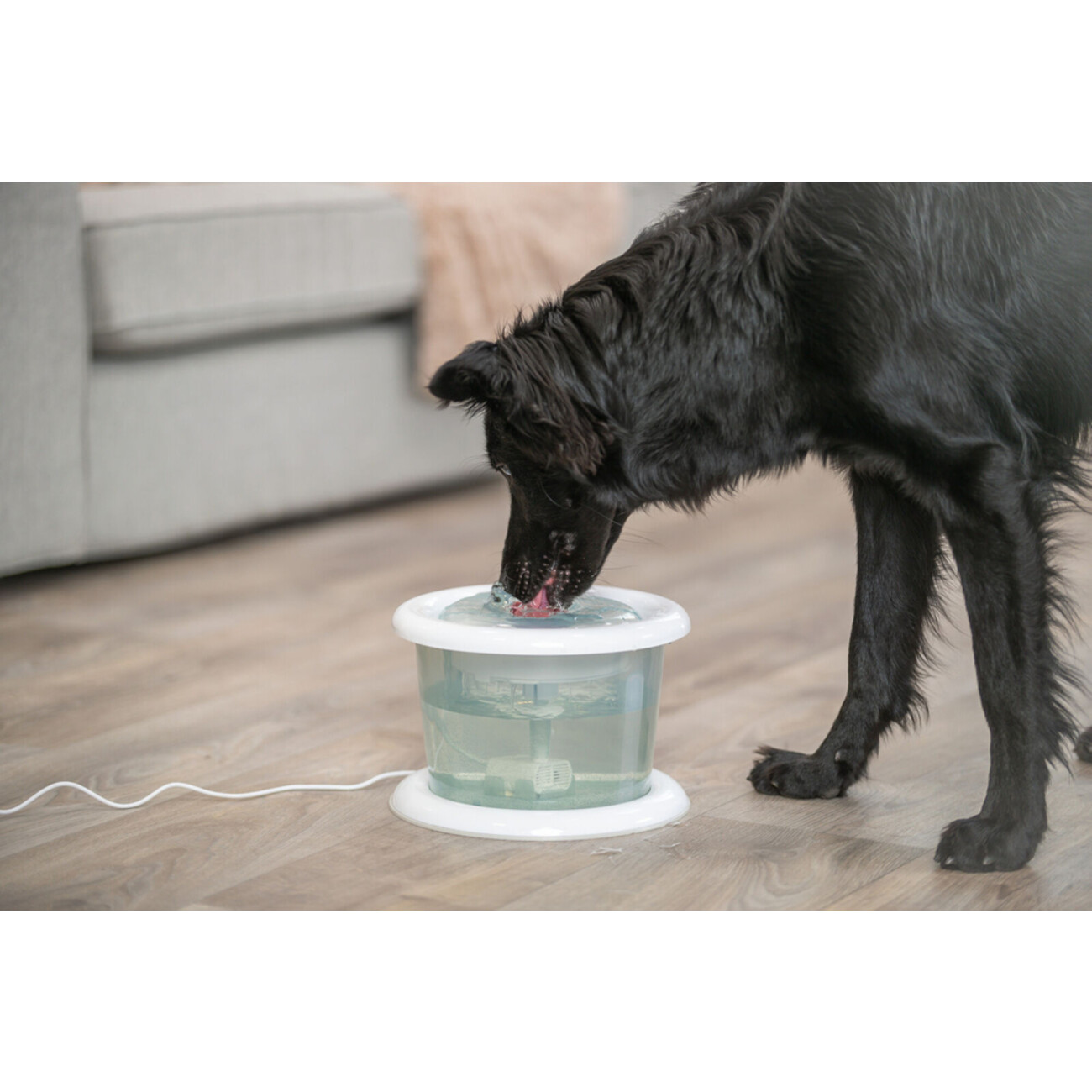 Bubble Stream Trinkbrunnen für Hunde und Katzen Bild 1