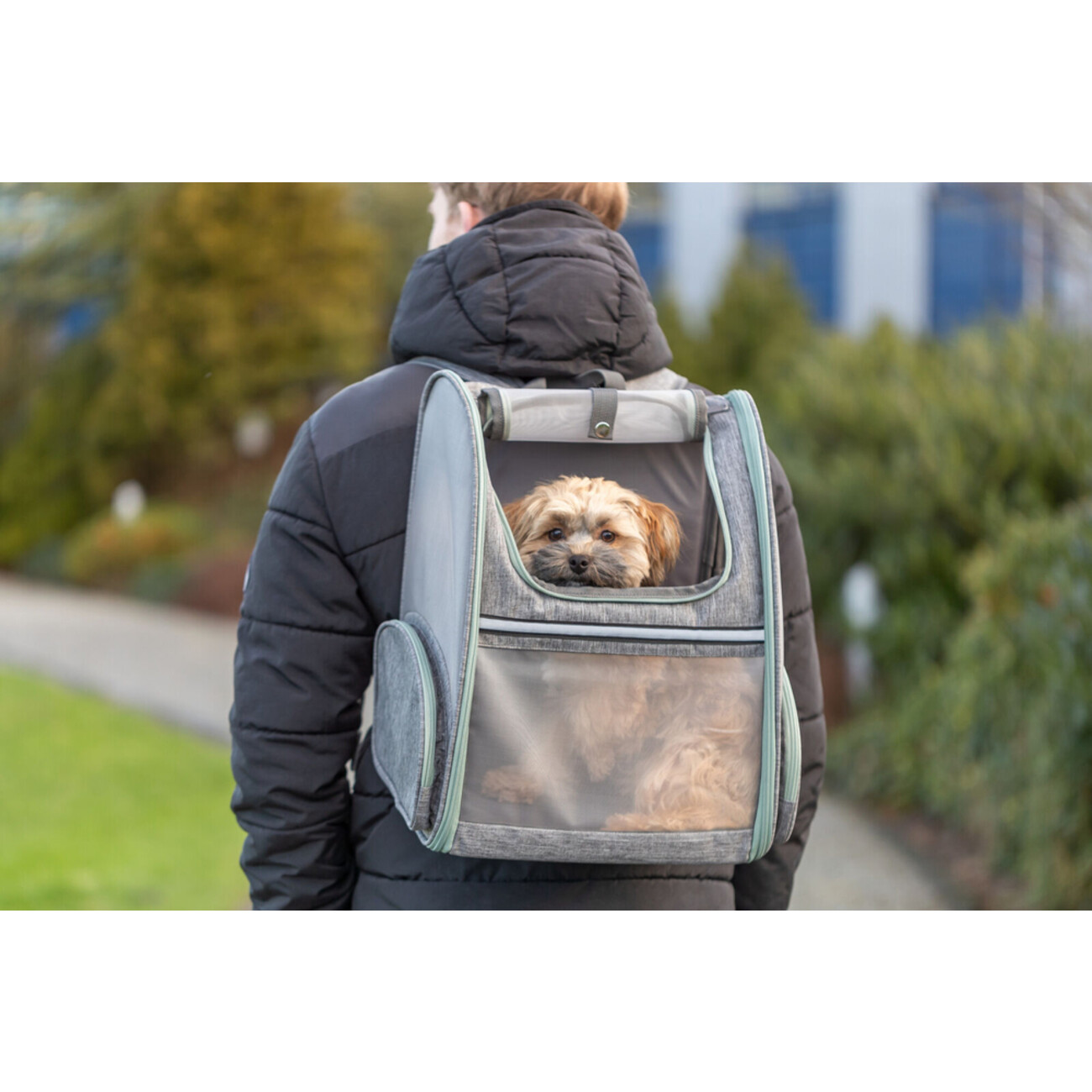 Hunde Rucksack Chloe in hellgrau Bild 2