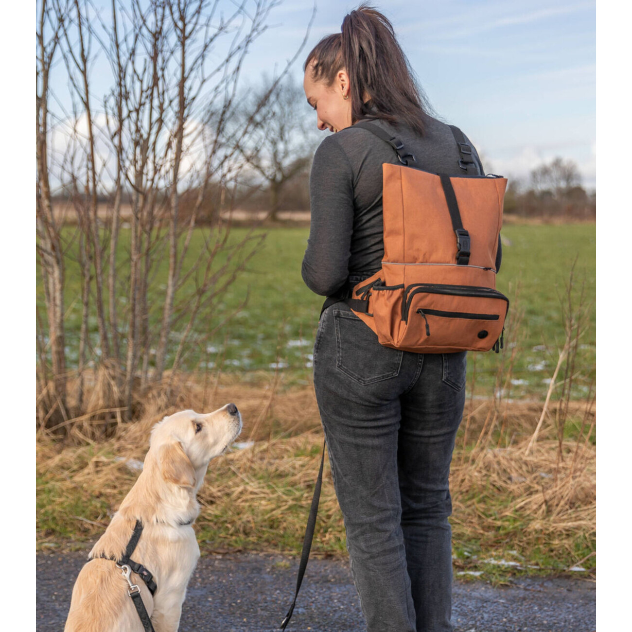 Rolltop als Hüfttasche und Hunde-Rucksack tragbar Bild 2