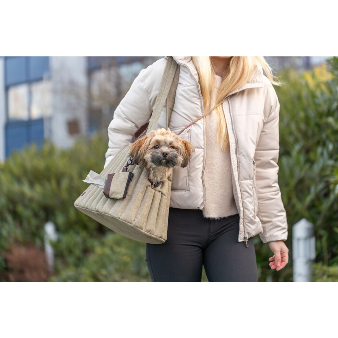 Tasche Sophie für Hunde bis 7 kg Bild 2
