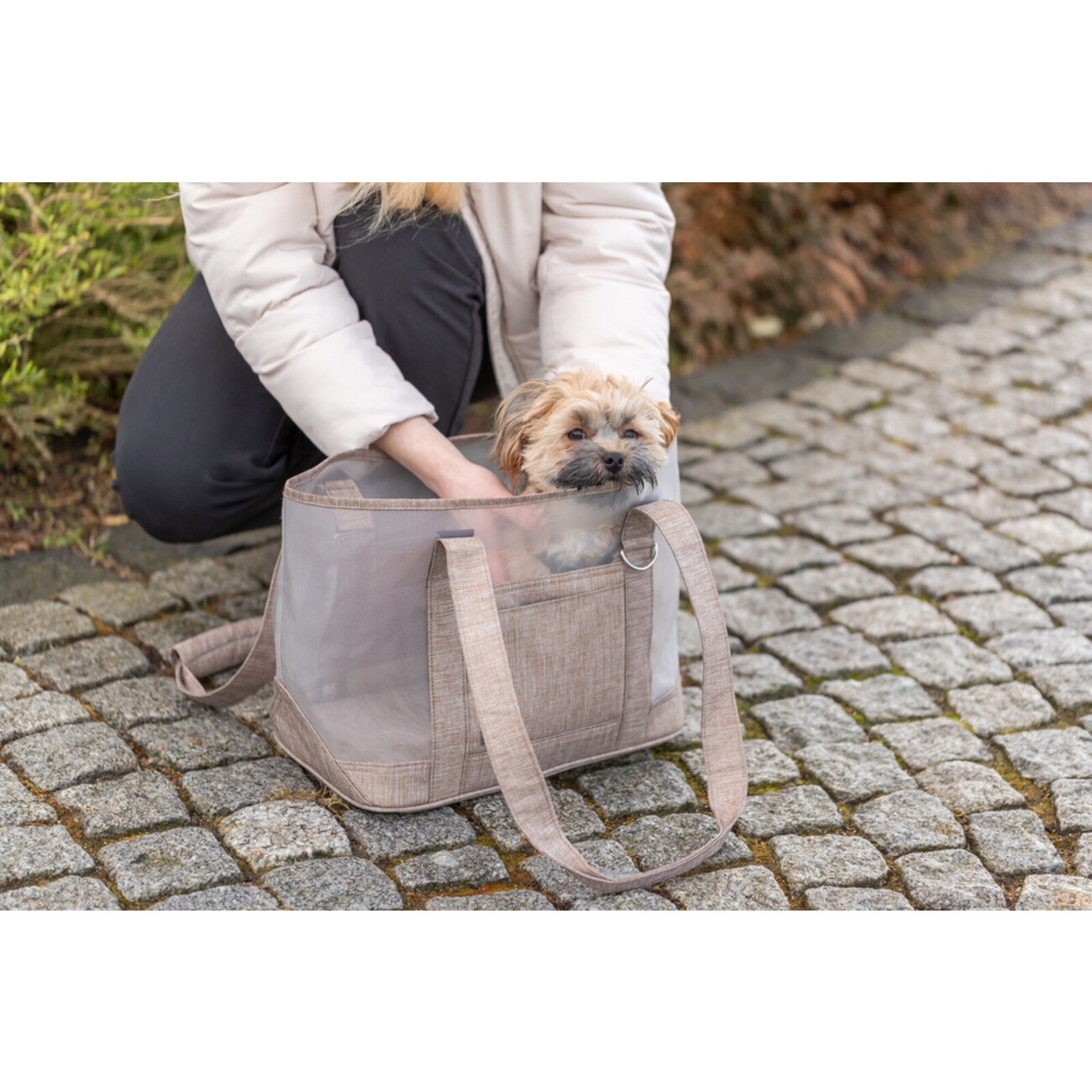 Hundetasche Mary bis 6 kg Bild 2