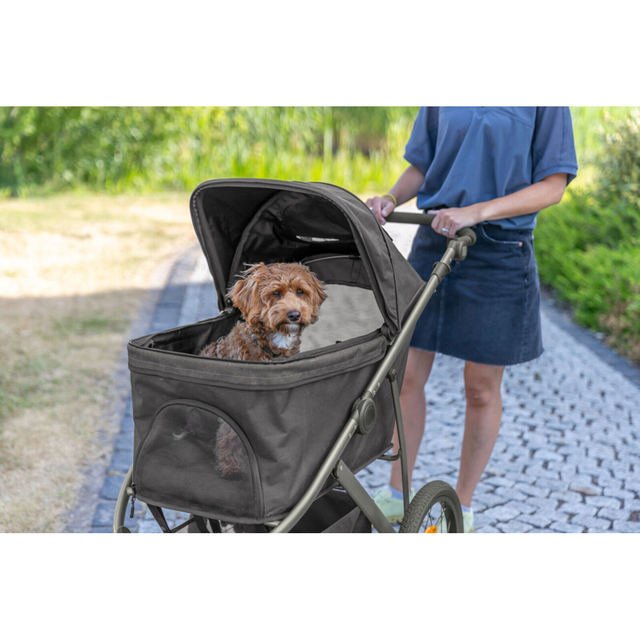 Buggy für Hunde und Katzen Bild 2