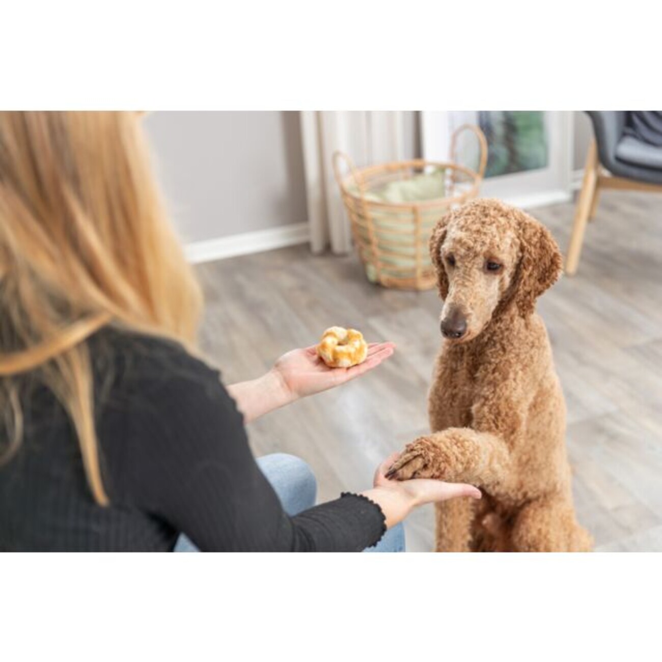 Denta Fun Twists aus Kollagen mit Huhn Bild 3