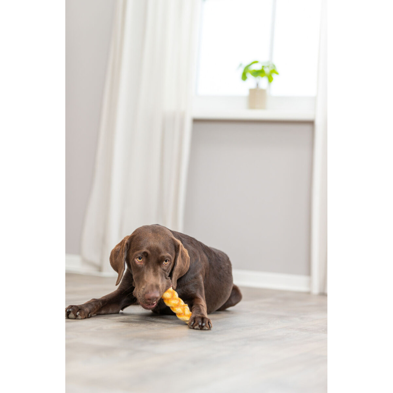 Denta Fun Braid aus Kollagen, 13 cm Bild 2