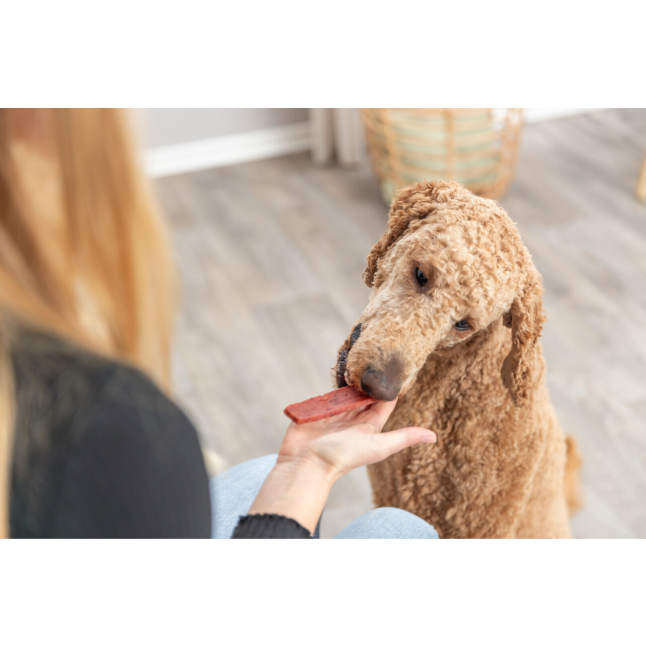 PREMIO Filets - Rind Bild 2