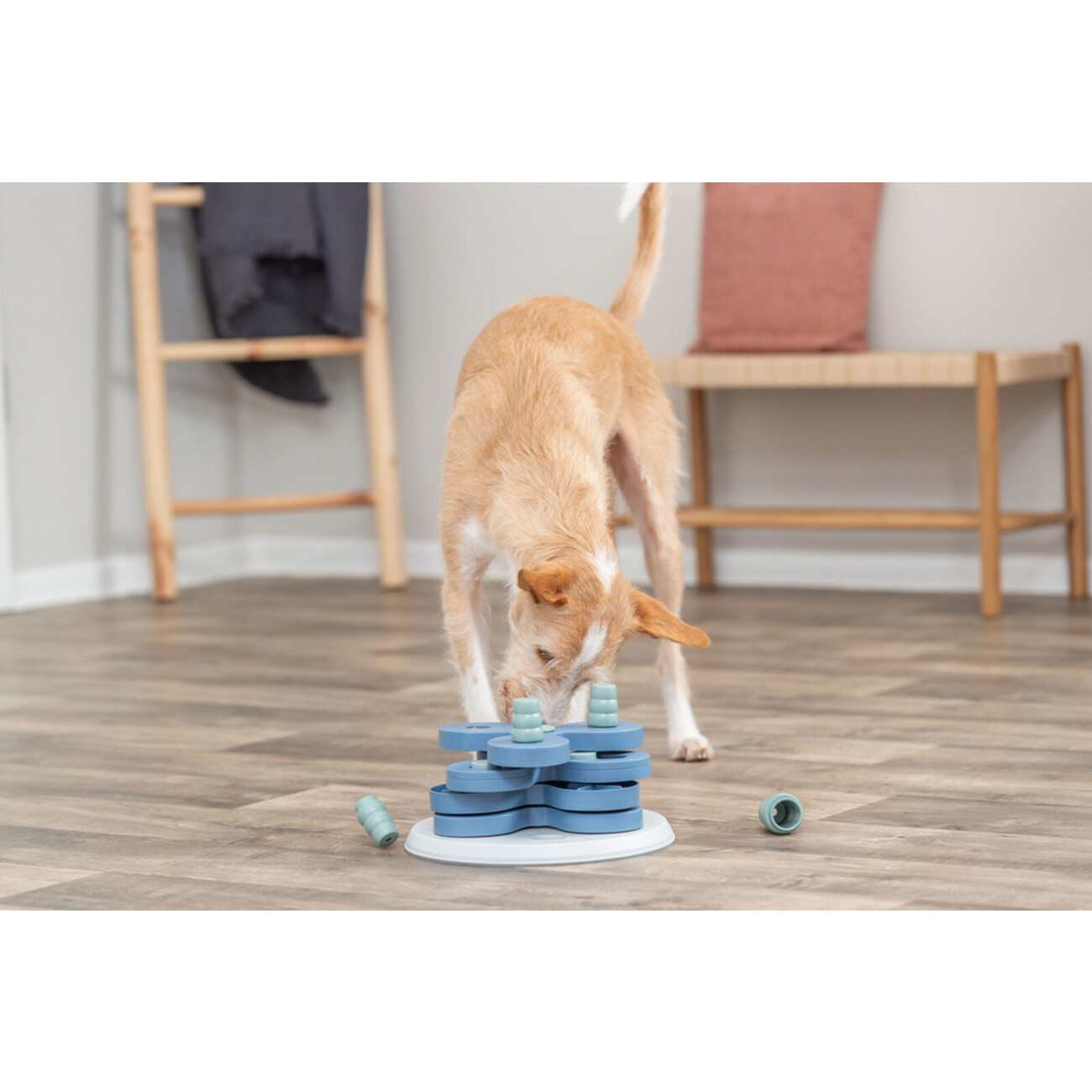 Dog Activity Strategiespiel Flower Tower für Hunde Bild 2