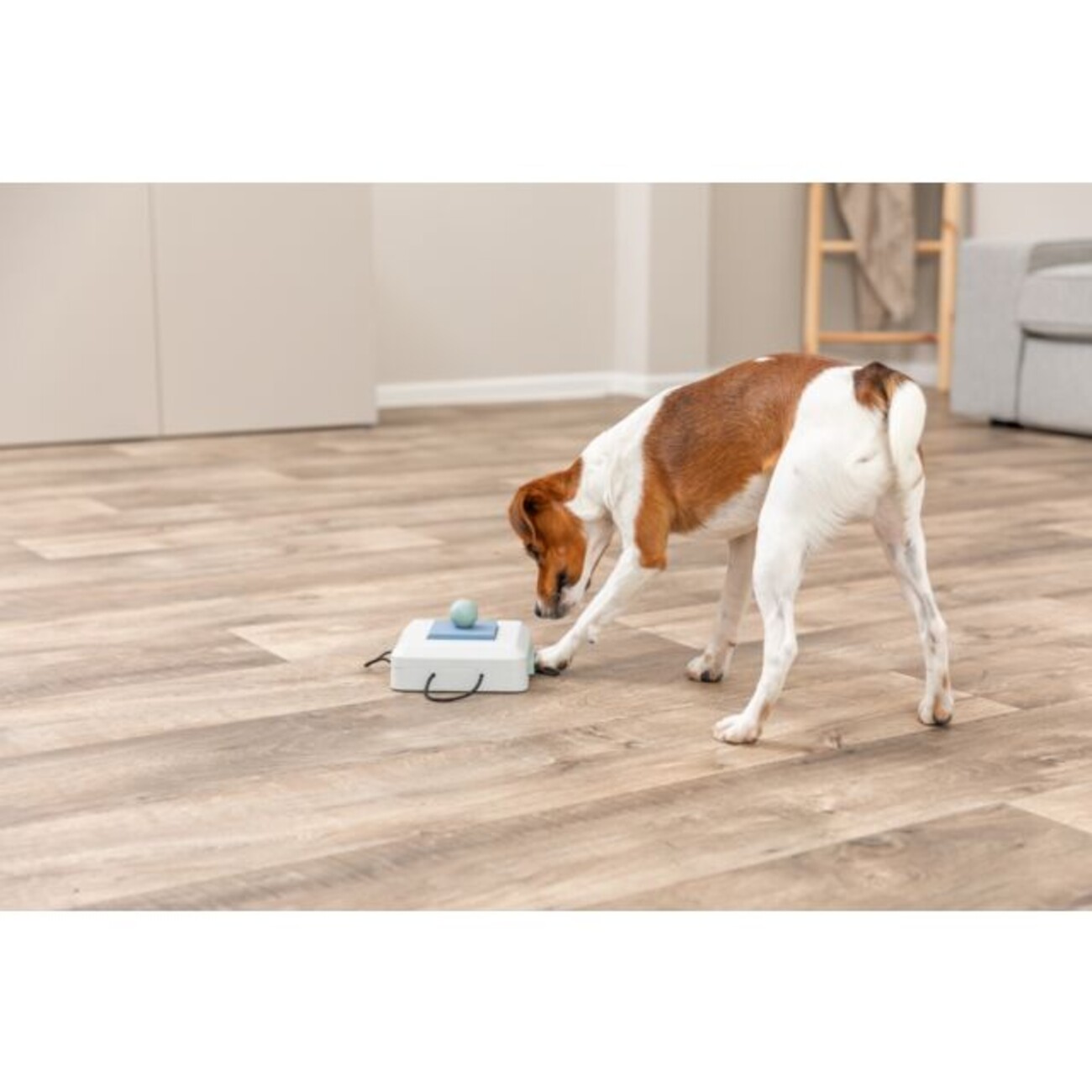 Dog Activity Strategiespiel Gamble Box für Hunde Bild 7