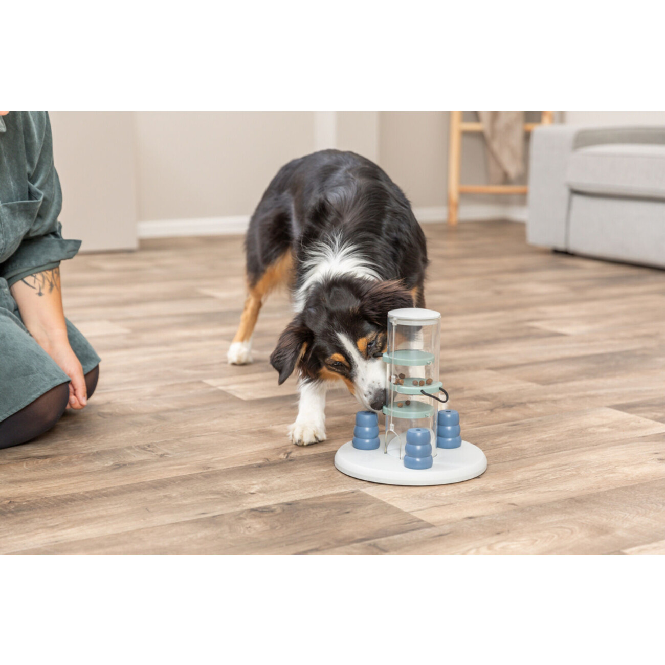 Dog Activity Strategiespiel Gambling Tower für Hunde Bild 7